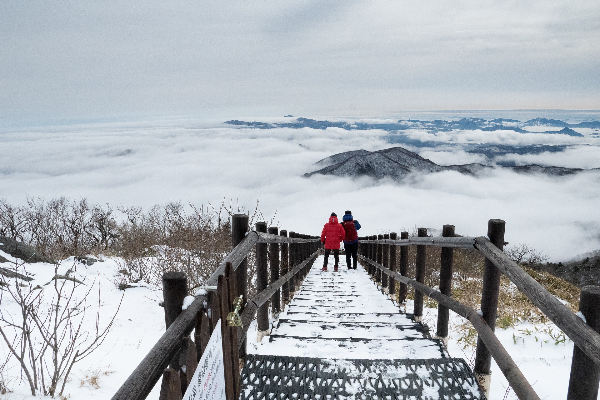 woman walking on a straight clear path