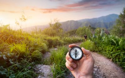 7 Ways Divorce Coaches Are a Key to an Amicable Divorce