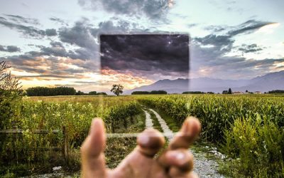 The 5 C’s of Decision-Making, Especially During the Divorce Process