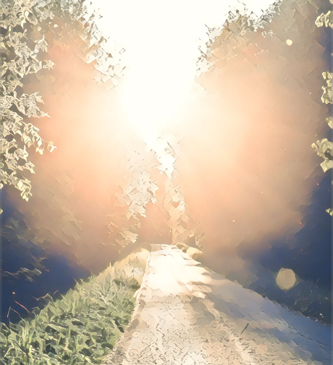 woman walking on a straight clear path